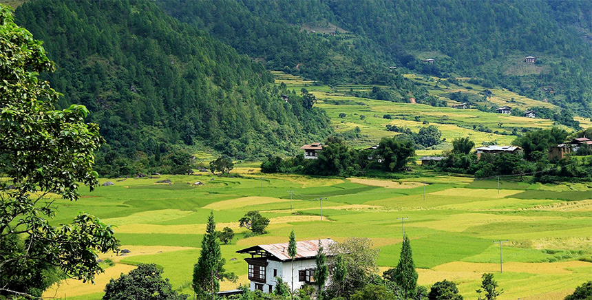 punakha valley - Eastern Bhutan Tour