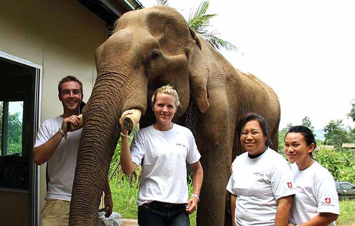 Teens volunteering at elephant camp in Thailand