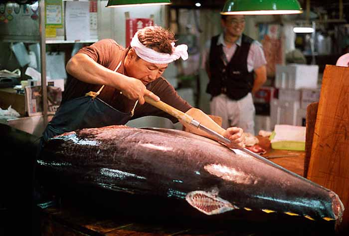 Tsukiji fish market cutting tuna