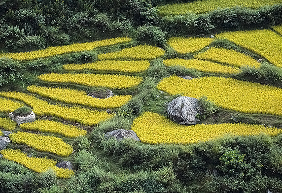 Photo of a valley, Bhutan