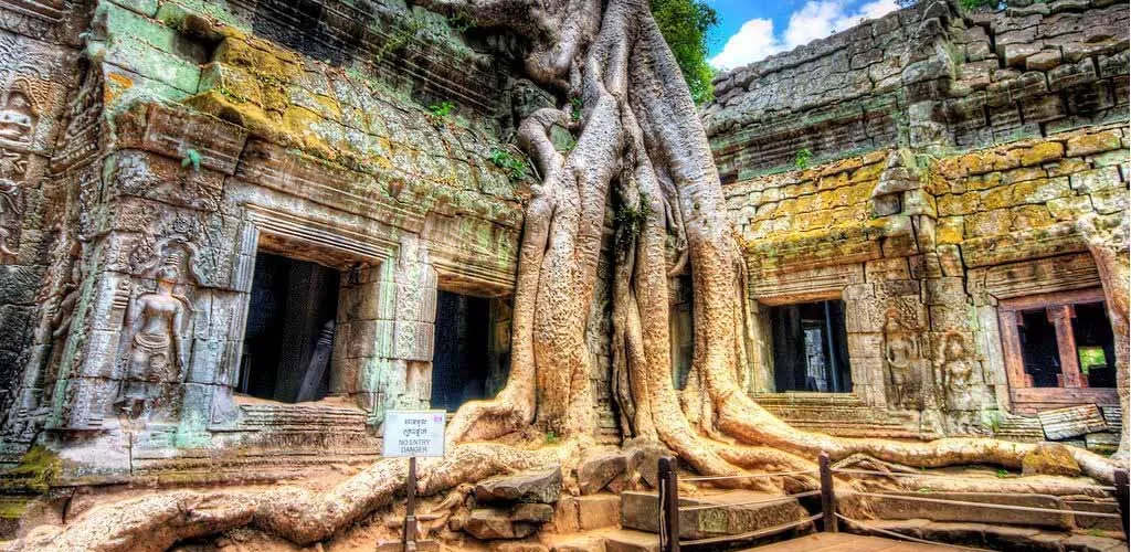 Cotton tree roots meandering over the stone temple, Ta Phrom, in Angkor, Cambodia