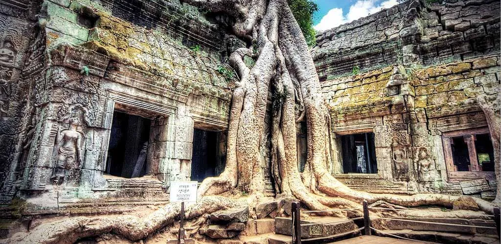 Tree roots climb a temple in Angkor, Cambodia