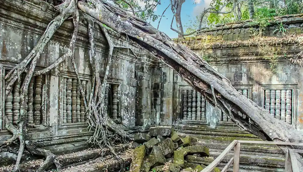 Jumbled ruins and tree roots at the lost temple of Beng Mealea in Cambodia