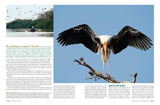 Rare Birds over Cambodia