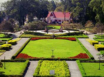 Royal garden of Raffle -  Cambodia