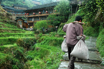 Photo of hangzhou farmer