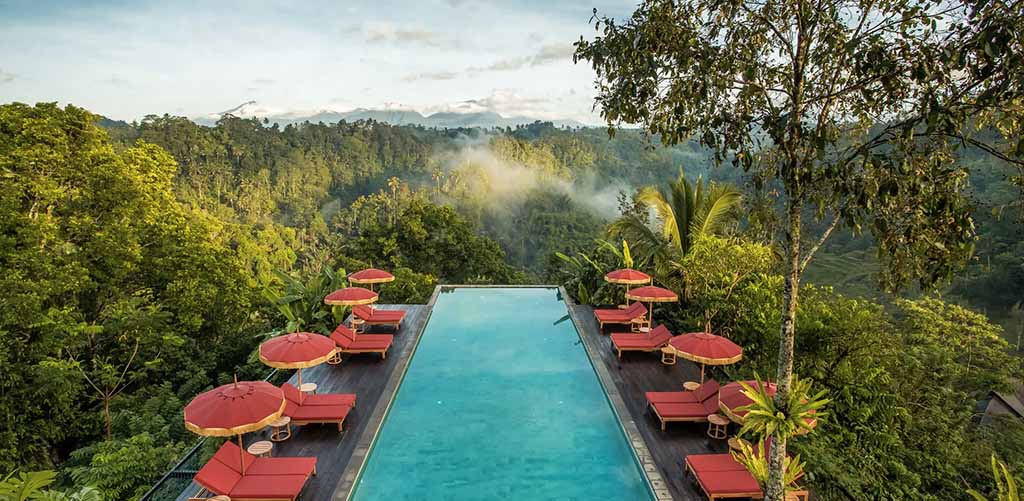 Buahan resort pool view of jungle, Ubud, Bali