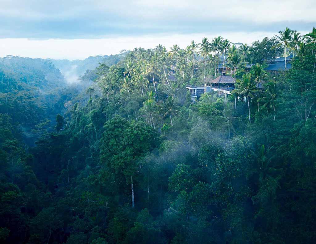 Jungle view of Hoshinoya resort in Bali