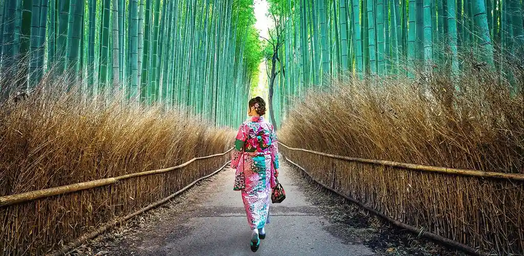 Geisha walking in Kyoto's bamboo forest