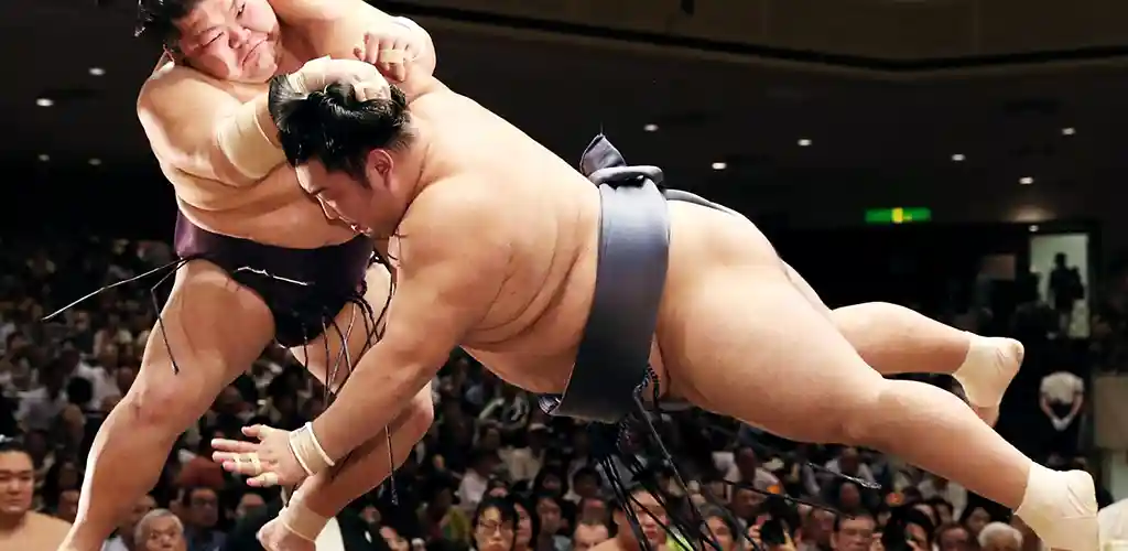 Japanese Sumo wrestlers fighting
