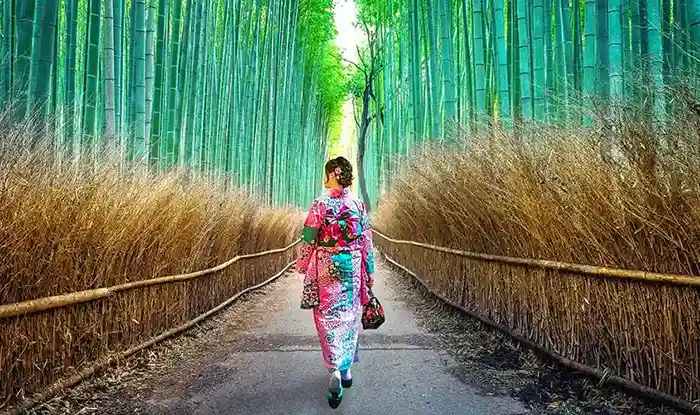 Geisha walking through Kyoto's iconic bambooo forest.