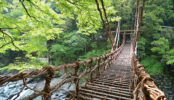 Shikoku rope bridge