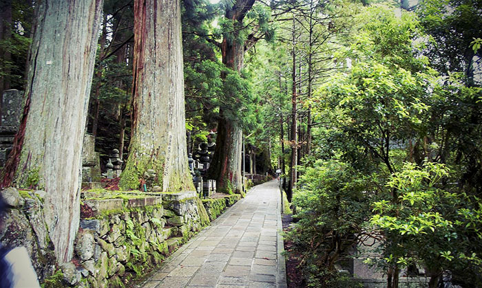 Okunoin Cemetery path, Koyasan Japan