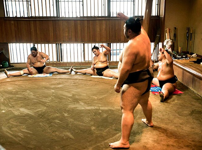 Sumo Stable in Tokyo