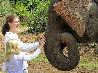 Luang Prabang elephant sanctuary
