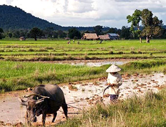 Farmer in Don Khong, Laos