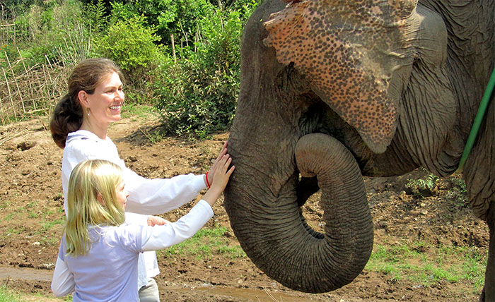 Family tour of elephant camp in Laos