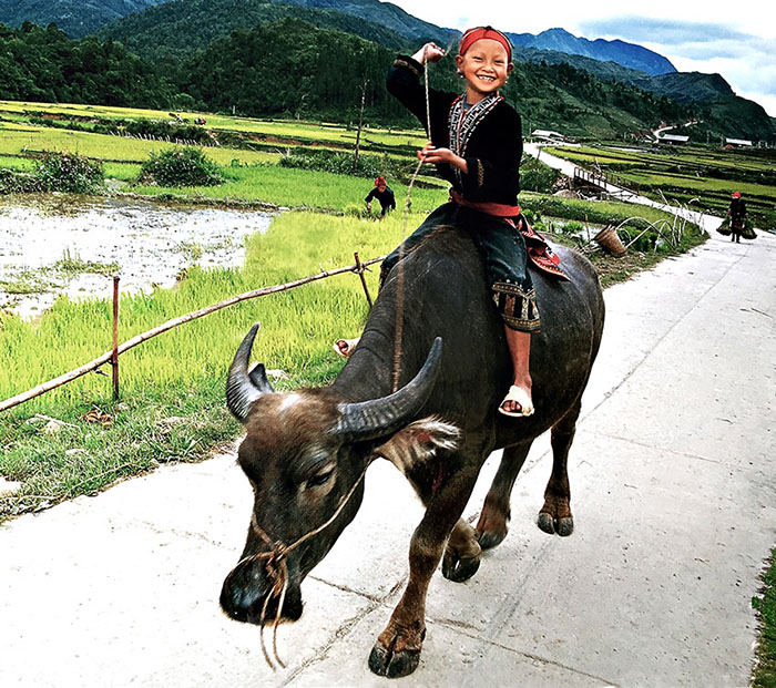 Hmong hill tribe boy riding water buffalo in rural Vietnam