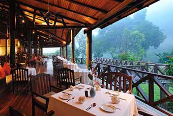 Borneo Rainforest Lodge terrace with jungle views