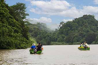 Kinabatangan River boating in Borneo