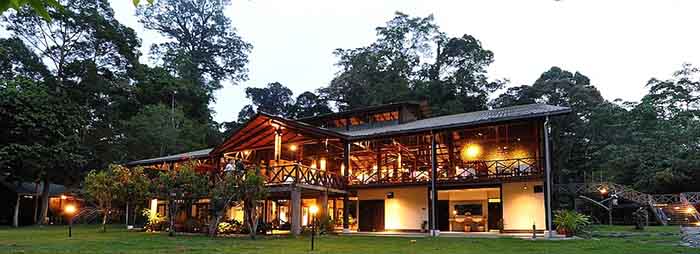 Borneo Rainforest Lodge - Luxury lodge in Borneo
