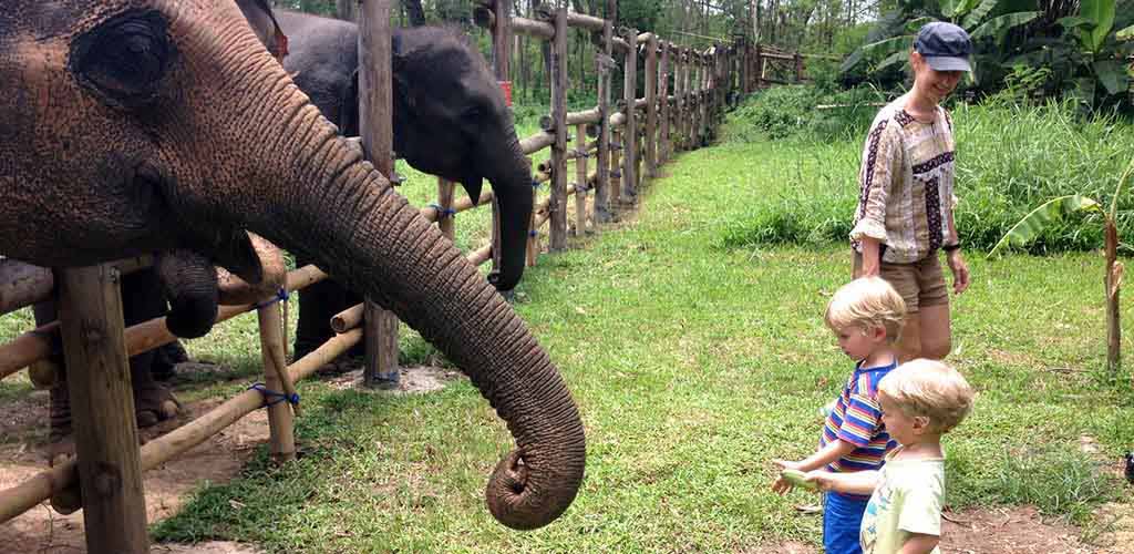 Children at Nature Valley elephant camp in Thailand
