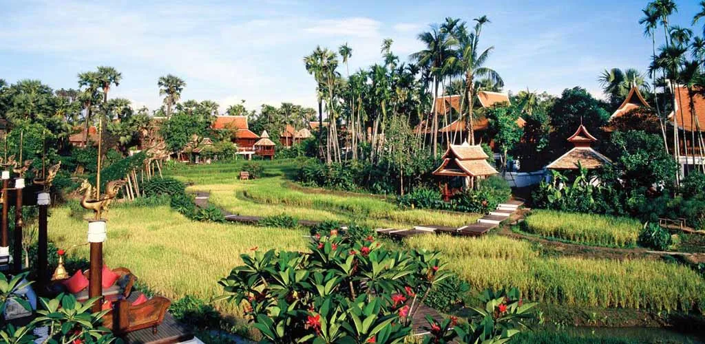 Rice paddies between luxury pavilions at the Four Seasons Luxury Resort in Chiang Mai, Thailand