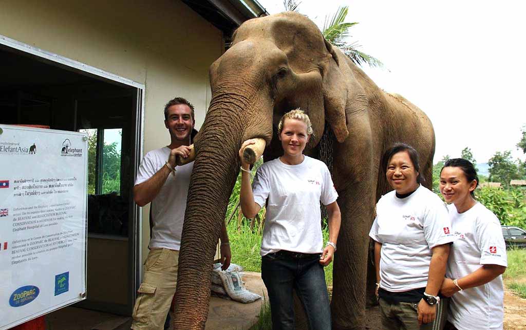 Volunteers at Elephant Conservation Center in Laos
