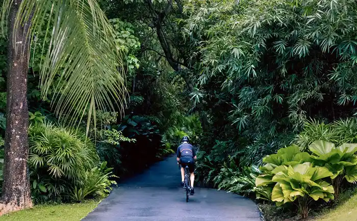 Road cycling on a jungle road in Phuket