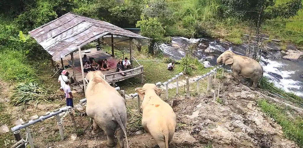 Aerial view of Chiang Chill Elephant Sanctuary