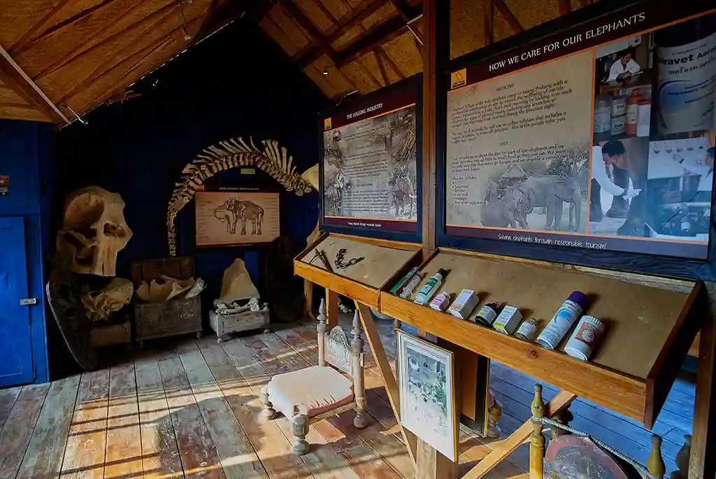 Museum at the Elephant Village in Luang Prabang, Laos