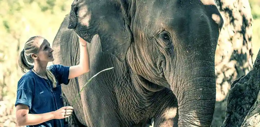 Elephant encounter at Anantara Elephant Camp Chiang Rai, Thailand