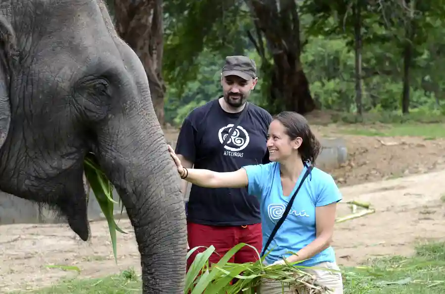 Elephant encounter at Elephants World in Kanchanaburi, Thailand