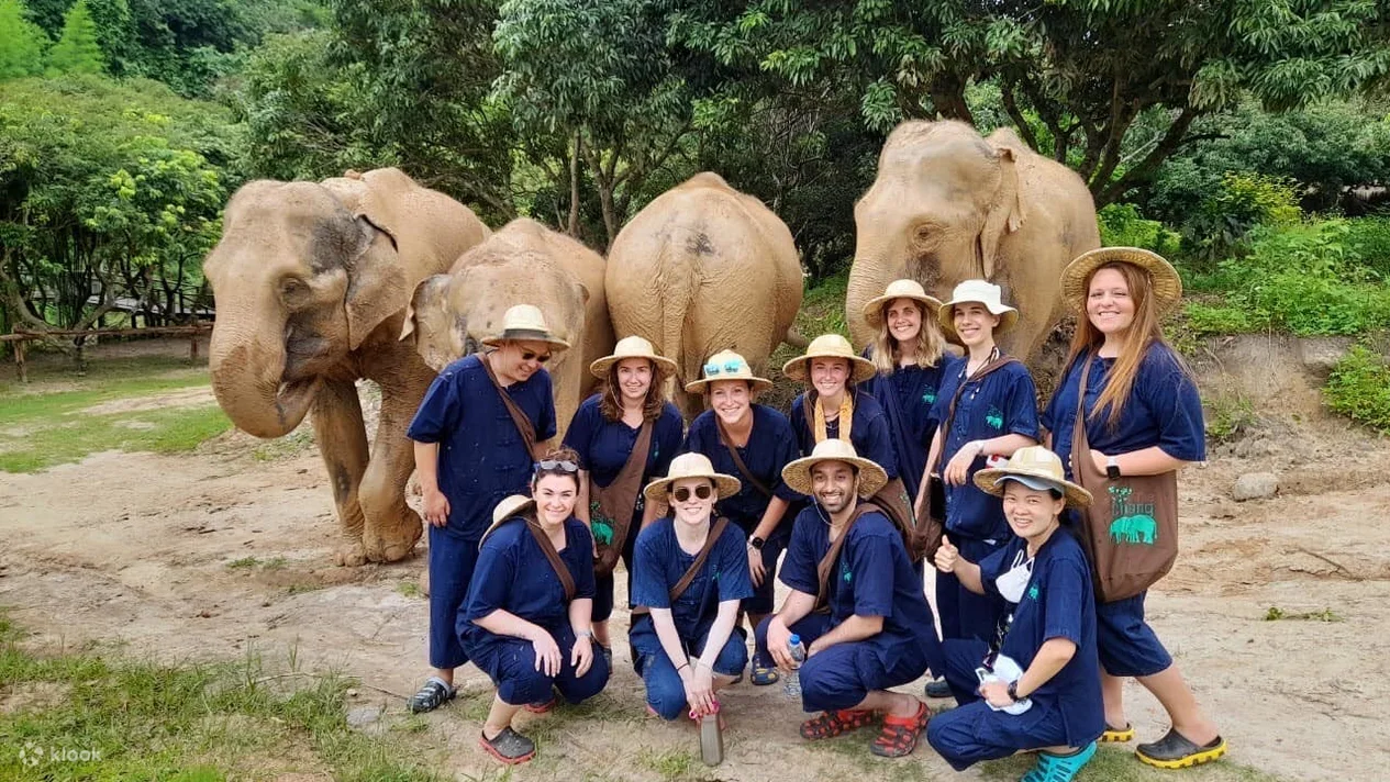 Visitors at Maesa Elephant Camp outside of Chiang Mai