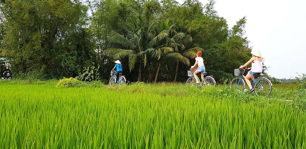 Family bicycling tour in Hoi An, Vietnam