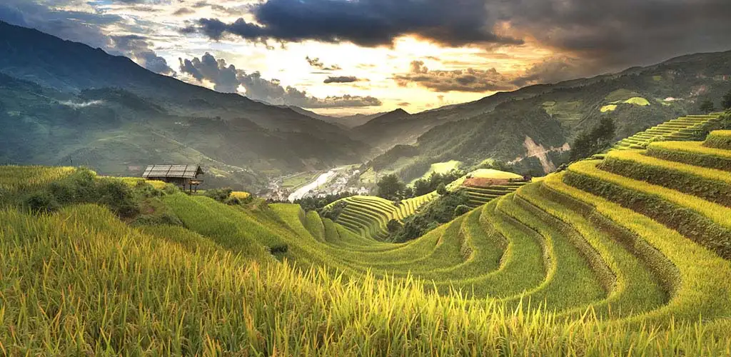 Terraced rice fields and mountain vistas in Sapa, Vietnam