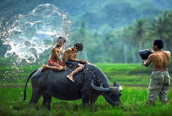 Photography tour of Vietnam images of boys on water buffalo