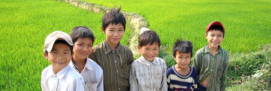 Vietnamese kids in the country near rice field