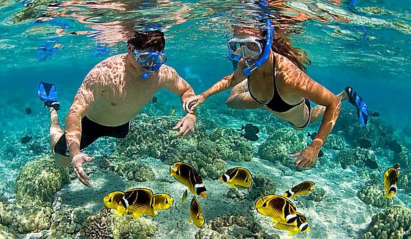 Snorkeling with fish in Phu Quoc