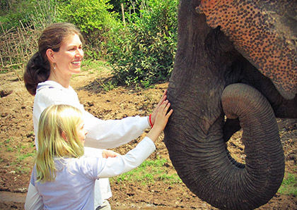 Elephant camp in Laos