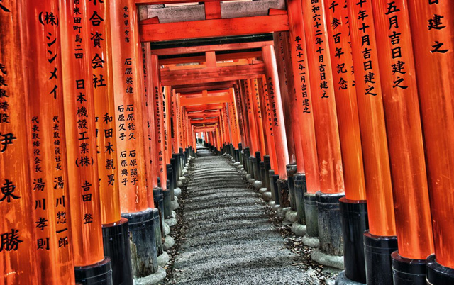 Photography tour in Japan